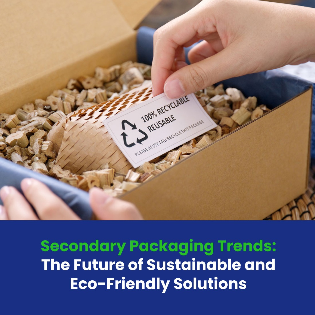Secondary Packaging Trends: The Future of Sustainable and Eco-Friendly Solutions