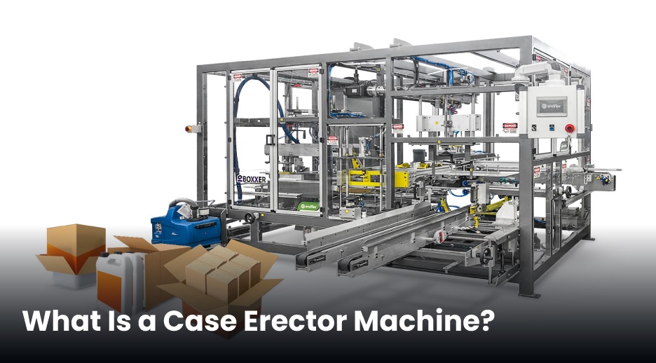 Bandma Case Erector Machines: The Secret to Faster, Smarter Packaging Lines